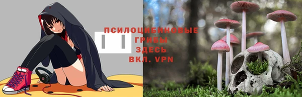 ECSTASY Белокуриха