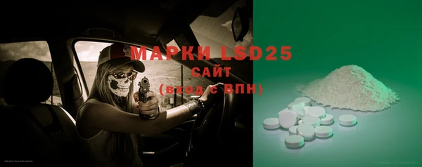 ECSTASY Белокуриха