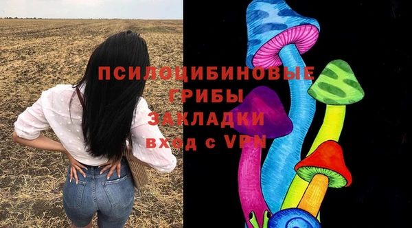 ECSTASY Белокуриха