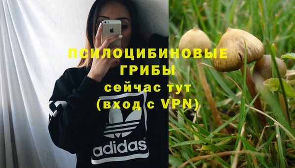 дурь Пересвет