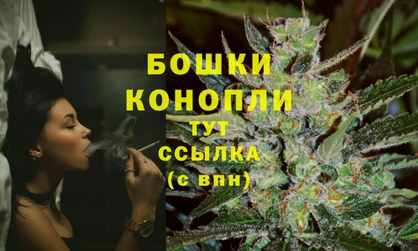 PSILOCYBIN Переславль-Залесский